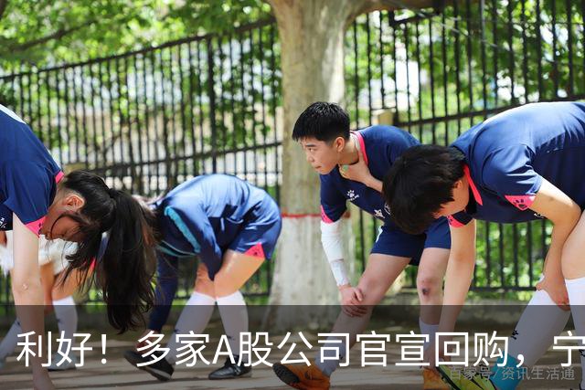 利好!多家A股公司官宣回购,宁德时代单日买入8亿元