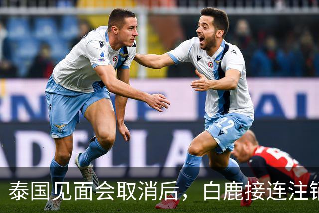 泰国见面会取消后,白鹿接连注销名下三家公司,网友:果然有猫腻